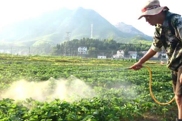虫螨茚虫威的用法，可在低龄幼虫初发期均匀喷雾