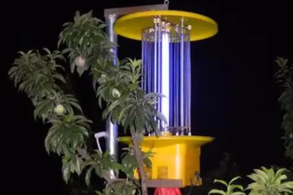 石榴桃蛀螟的防治方法，成虫出现前可对果实套袋
