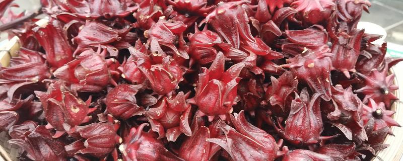 红桃k自己怎么留种子，晒干后取出种子保存