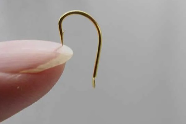 海夕4号钩能钓5斤的鱼吗，适合钓2斤以内的鱼