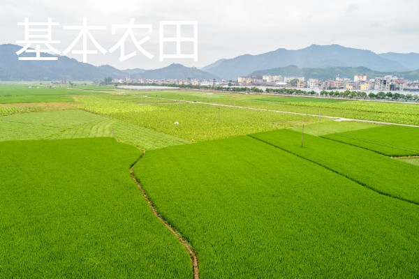 基本农田的含义，属于不得占用的耕地