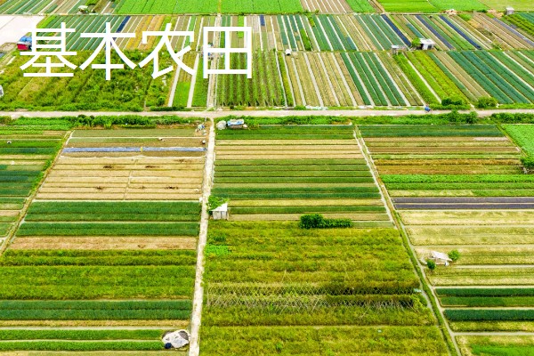 基本农田的含义，属于不得占用的耕地