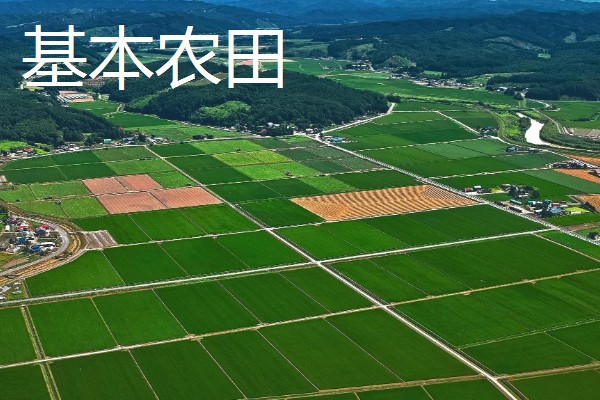 基本农田的含义，属于不得占用的耕地