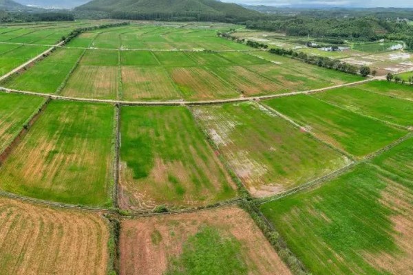 基本农田的含义，属于不得占用的耕地