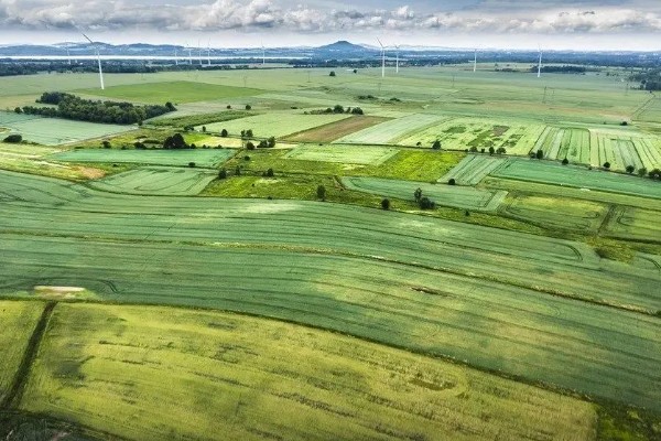 基本农田的含义，属于不得占用的耕地