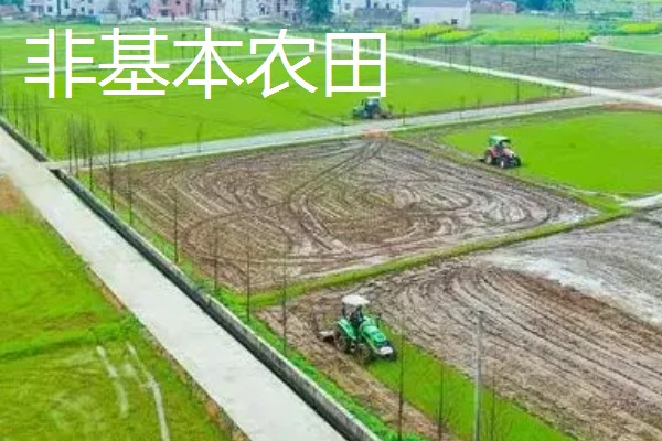 基本农田的含义，属于不得占用的耕地