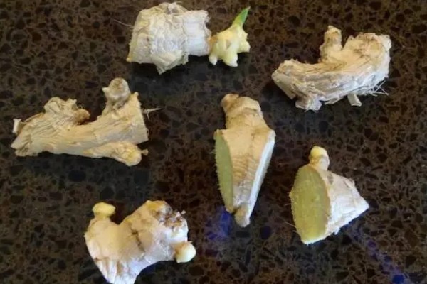 姜发芽了能种植吗，可以种植