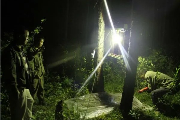 南瓜根结线虫的防治方法，点火烧田可以灭杀虫卵和幼虫