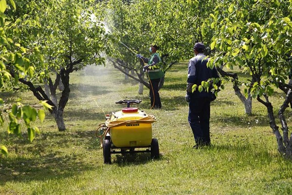怎么防治果树的病虫害,萌芽前可喷施石硫合剂