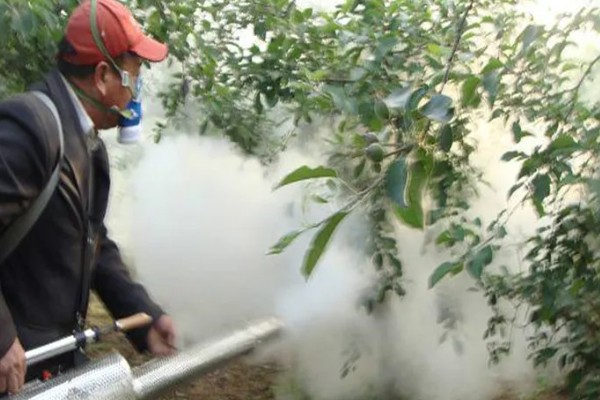 怎么防治果树的病虫害,萌芽前可喷施石硫合剂