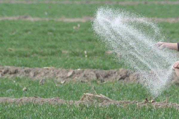 过量使用磷肥的害处，主要表现在以下6个方面