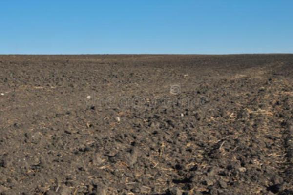 微生物肥料的长期使用可以吗，可以长时间使用