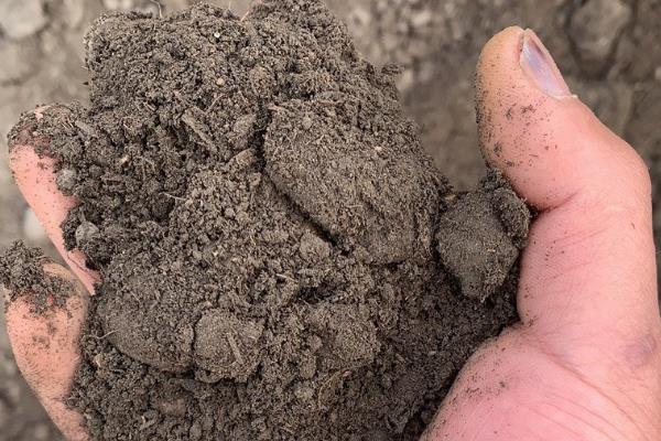 微生物肥料的长期使用可以吗，可以长时间使用