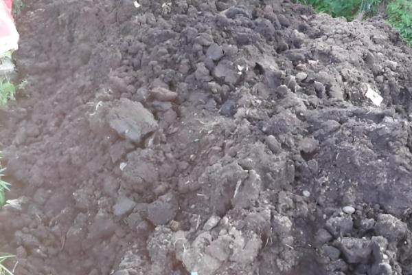 微生物肥料的长期使用可以吗，可以长时间使用