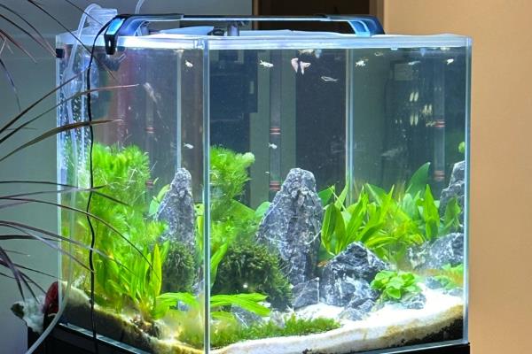 让鱼缸下水管静音的方法，可以改小或加长管子