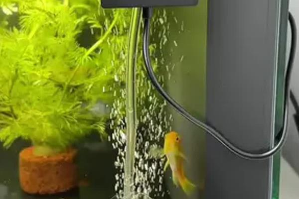 让鱼缸下水管静音的方法，可以改小或加长管子