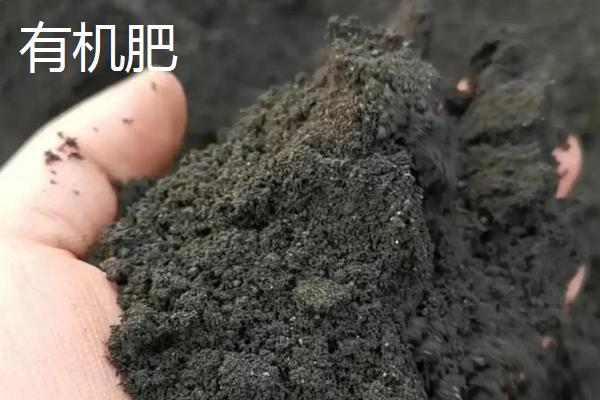 复合肥和有机肥的区别，养分含量不同