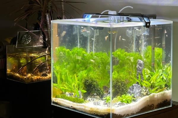 让鱼缸下水管静音的方法，可以改小或加长管子