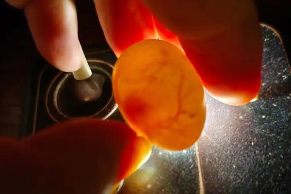 鹌鹑每天的产蛋量,一般可以产1-2枚左右