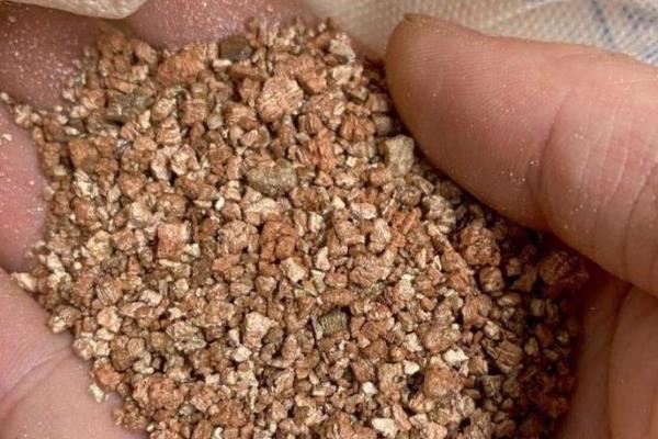 露养多肉下雨要不要搬到屋里，要搬到屋里