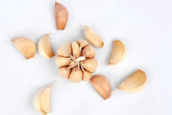 种植大蒜要注意什么，株距保持在10-12厘米