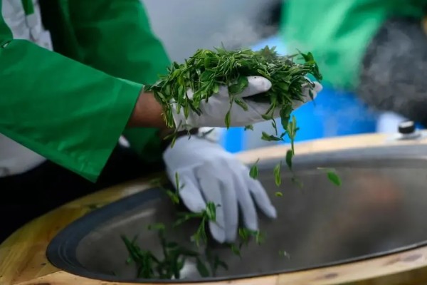 毛峰茶的产地，产自云南、峨眉、浙江兰溪等