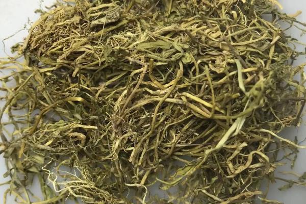 怎么防治豪猪肠炎，大肠杆菌引发的肠炎可注射庆大霉素