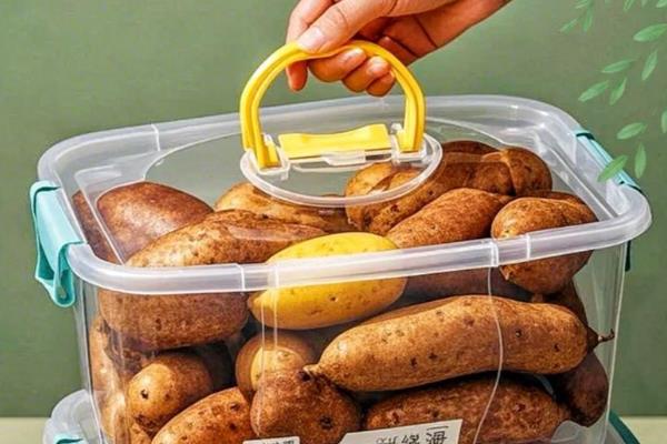 雪莲果的市场价格,一公斤只需3.5元左右