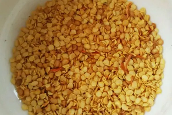 辣椒炭疽病怎么防治，播种前用温水浸种消毒