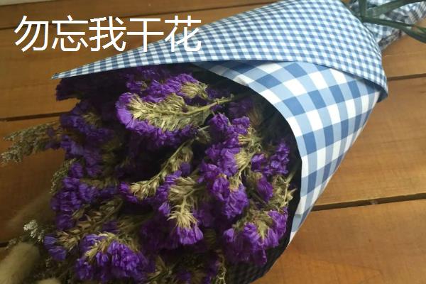 勿忘我干花与鲜花的区别，保存时间和外形特征均不同