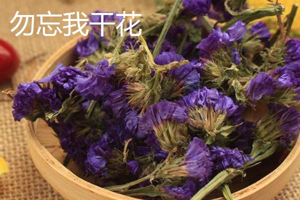 勿忘我干花与鲜花的区别，保存时间和外形特征均不同