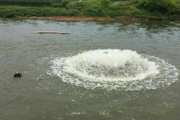 桂鱼如何养殖，一般每亩放养2000尾左右