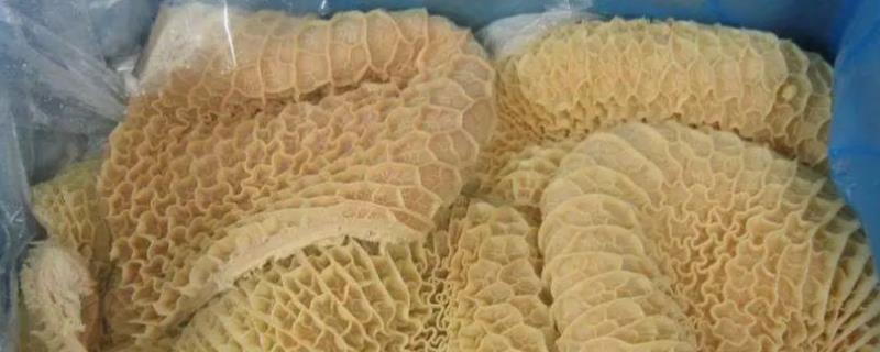 牛胃分别具备什么功能，不同的胃具有不同的功能