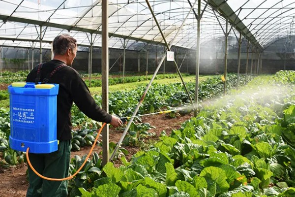 喷雾器的故障怎么排除，药液喷不成雾可拆下喷头清理堵塞的污物