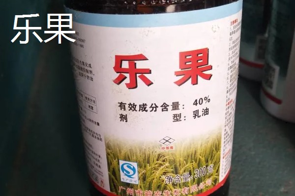 有什么防治蓟马的长效药物，乐果、虱螨脲、啶虫脒均可使用
