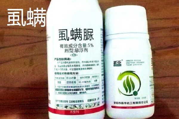 有什么防治蓟马的长效药物，乐果、虱螨脲、啶虫脒均可使用