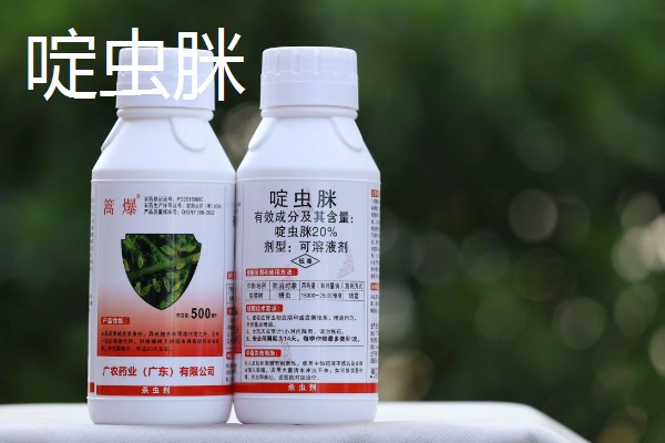 有什么防治蓟马的长效药物，乐果、虱螨脲、啶虫脒均可使用