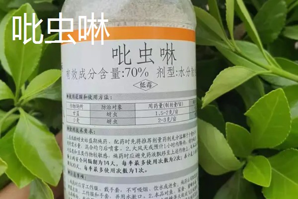 有什么防治蓟马的长效药物，乐果、虱螨脲、啶虫脒均可使用