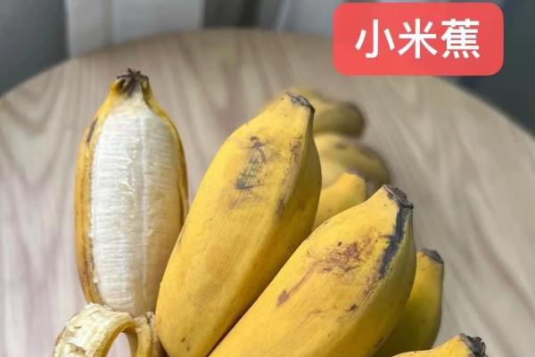 粉蕉的种植管理技术，适合生长在土质松软的环境中