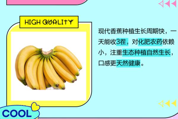 粉蕉的种植管理技术，适合生长在土质松软的环境中