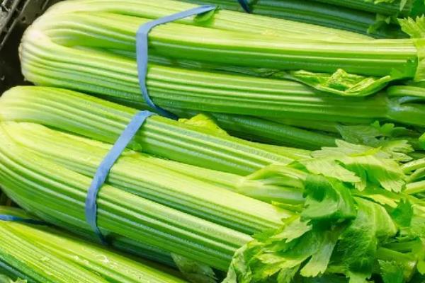 二月份露地种哪些蔬菜，推荐芹菜、香菜等