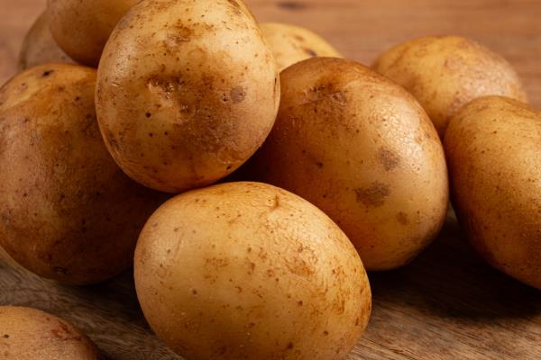 二月份露地种哪些蔬菜，推荐芹菜、香菜等