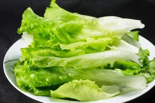 二月份露地种哪些蔬菜，推荐芹菜、香菜等