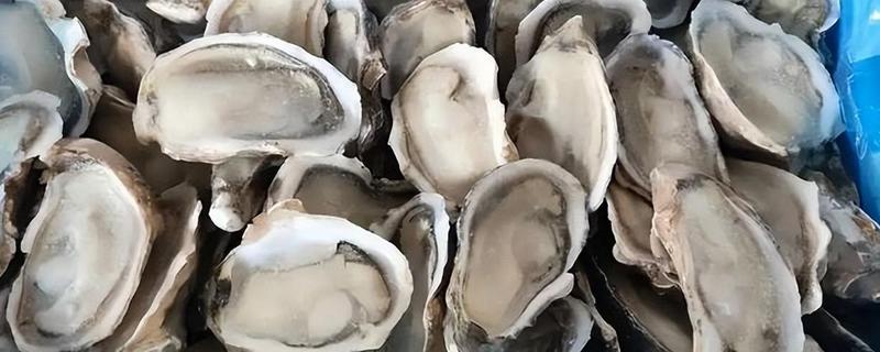 生蚝怎么保鲜，可以清水保存或海水保存等