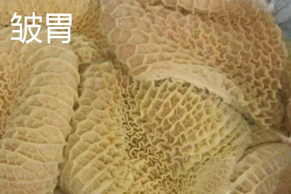 牛胃分别具备什么功能，不同的胃具有不同的功能