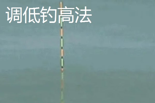 钓黄尾鱼怎么调漂，常用调低钓高法