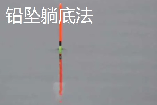 钓黄尾鱼怎么调漂，常用调低钓高法