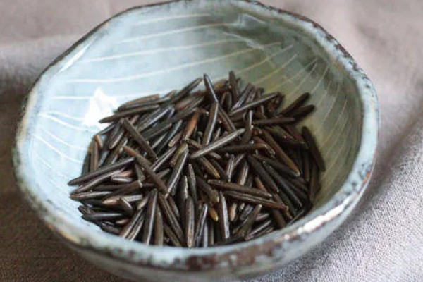 菰米怎么种植,定植后保持5厘米左右的浅水层