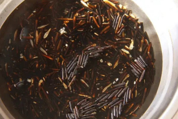 菰米怎么种植,定植后保持5厘米左右的浅水层