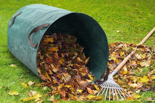 落叶处理的方法，最佳方法是收集到编织袋内